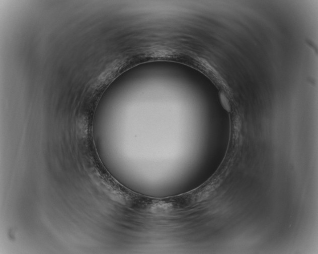 X0000100350257200806061121