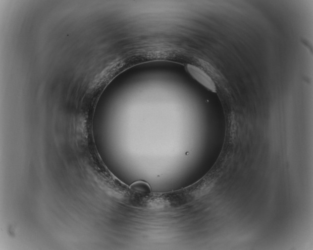 X0000100350258200806061121