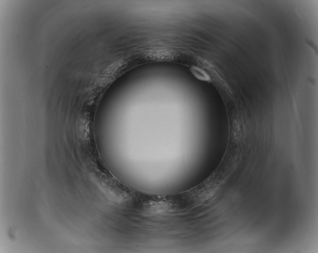 X0000100350259200806061121
