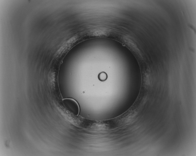 X0000100350260200806061121