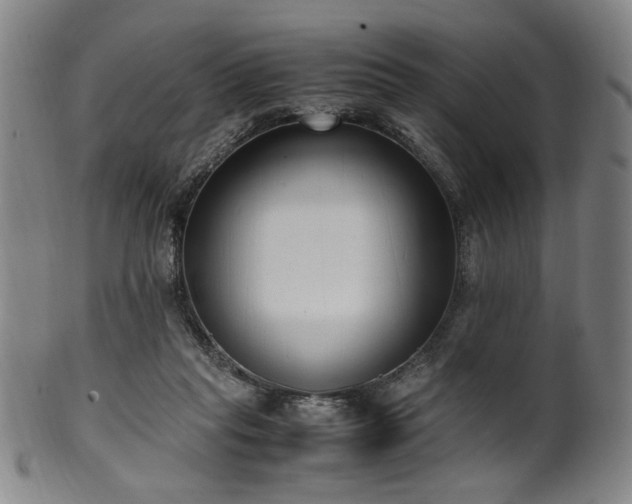 X0000100350261200806061121