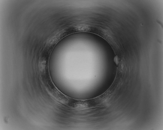 X0000100350263200806061121