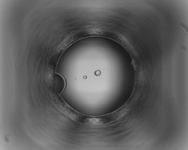 X0000100350265200806061121