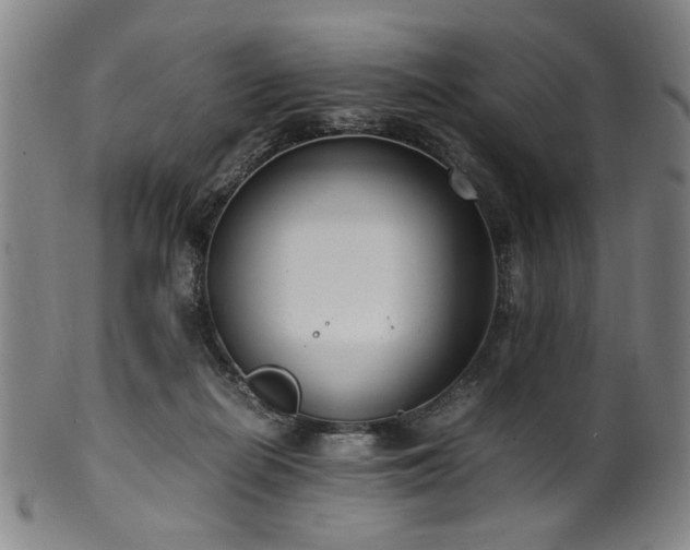 X0000100350266200806061121