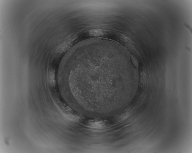 X0000100350267200806061121