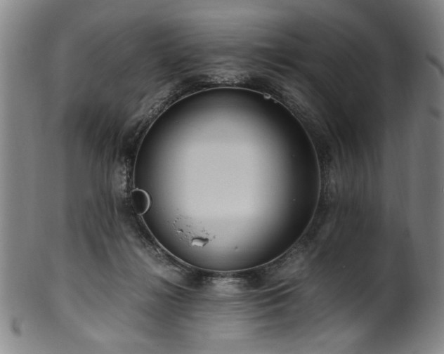 X0000100350268200806061121