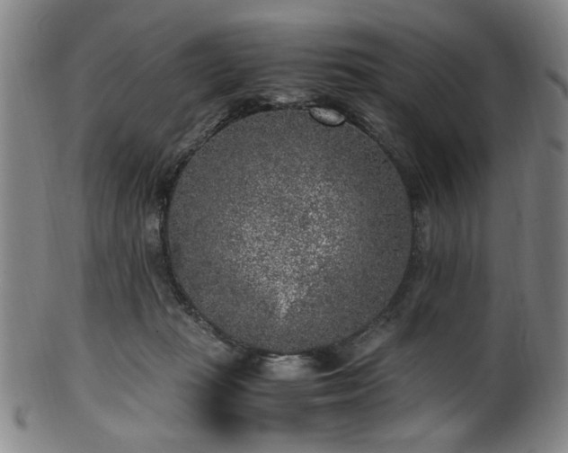 X0000100350269200806061121