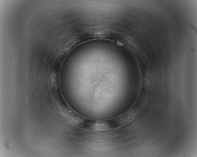 X0000100350270200806061121