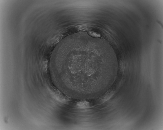 X0000100350271200806061121