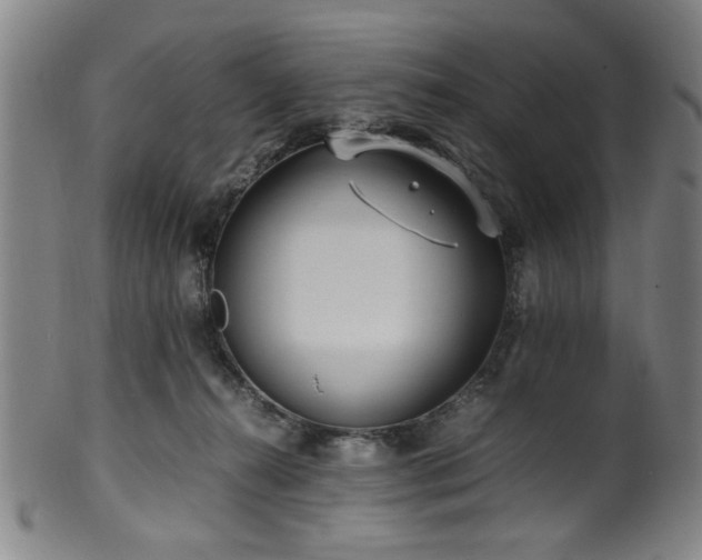 X0000100350272200806061121