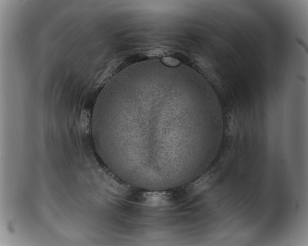 X0000100350273200806061121