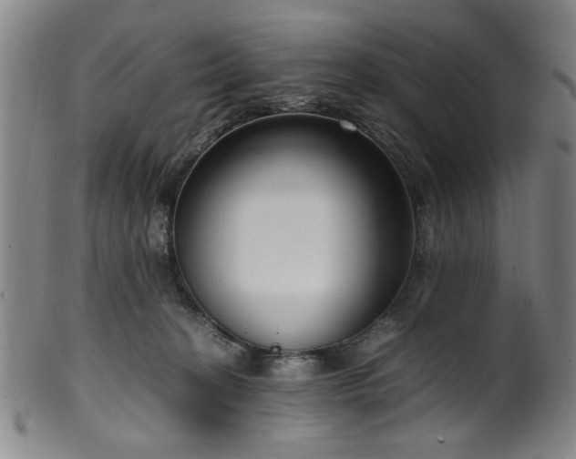 X0000100350274200806061121