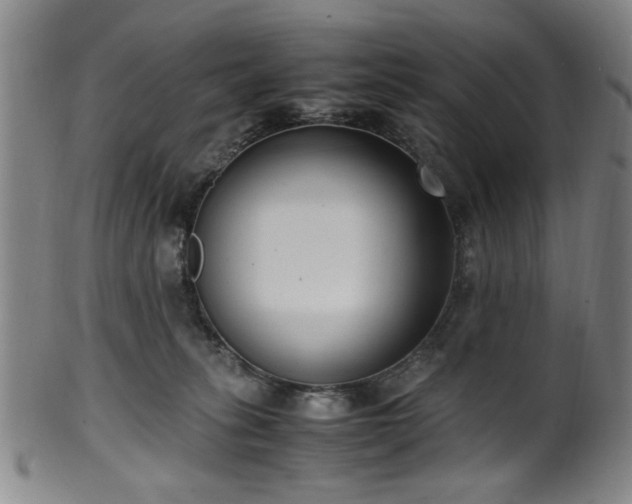 X0000100350275200806061121