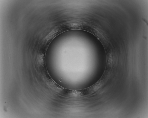 X0000100350278200806061121