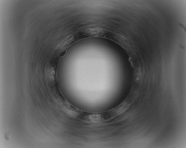 X0000100350279200806061121