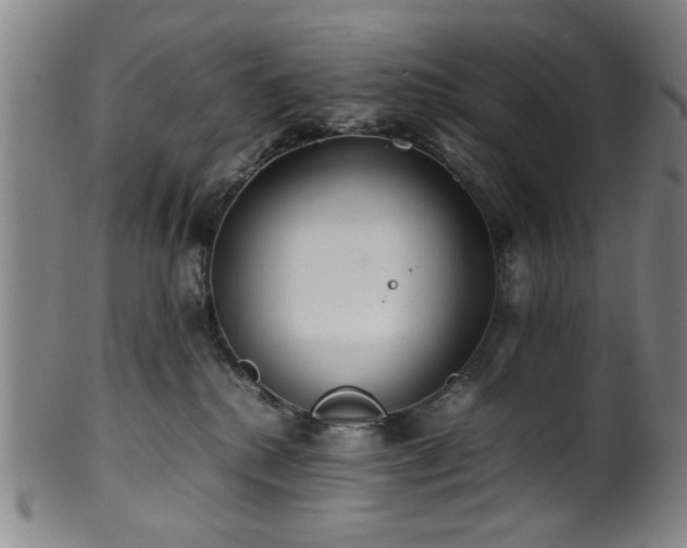 X0000100350280200806061121