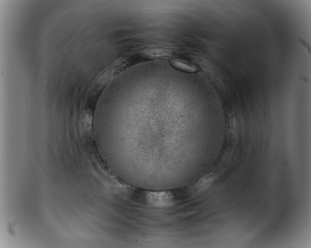 X0000100350281200806061121