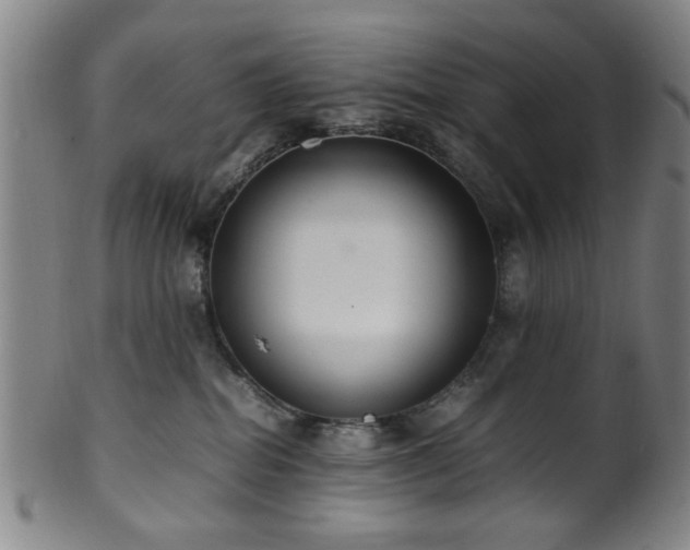 X0000100350282200806061121