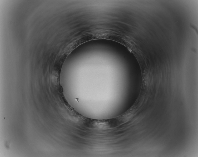 X0000100350283200806061121