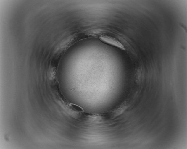X0000100350284200806061121