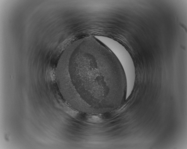 X0000100350285200806061121