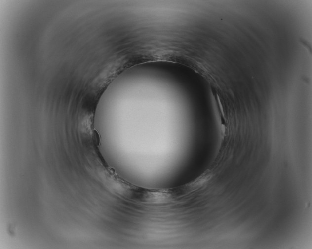 X0000100350286200806061121