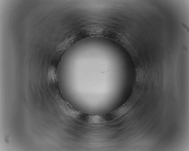 X0000100350287200806061121