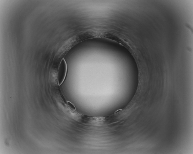 X0000100350288200806061121