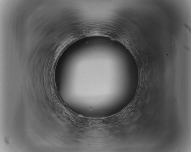 X0000100350289200806061121