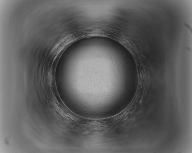 X0000100350290200806061121