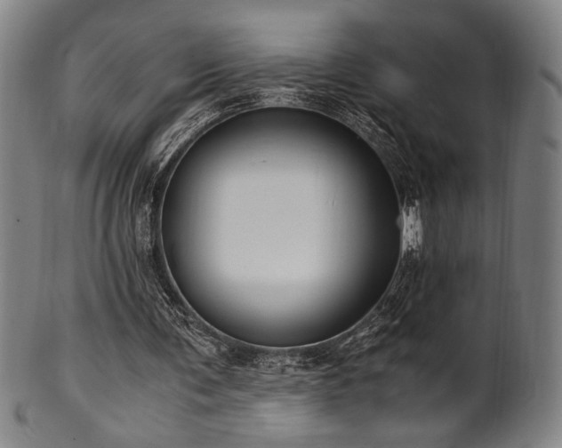 X0000100350291200806061120