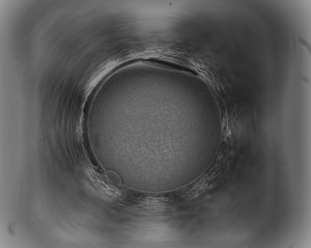 X0000100350292200806061120