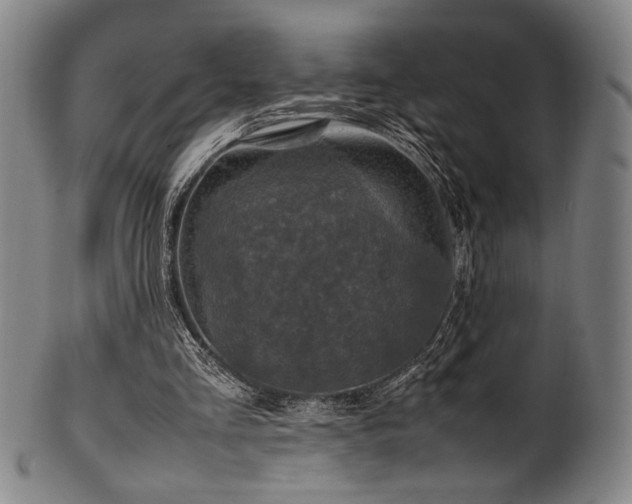 X0000100350293200806061120