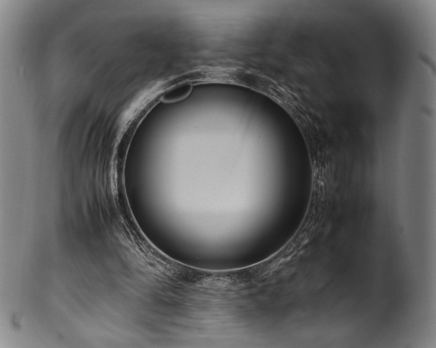 X0000100350294200806061120