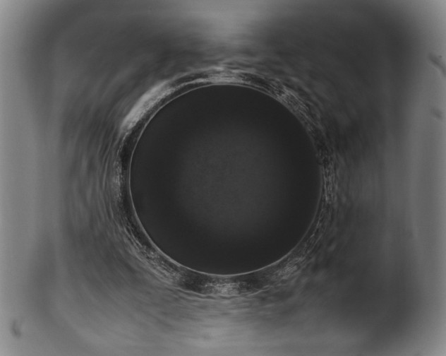 X0000100350295200806061120