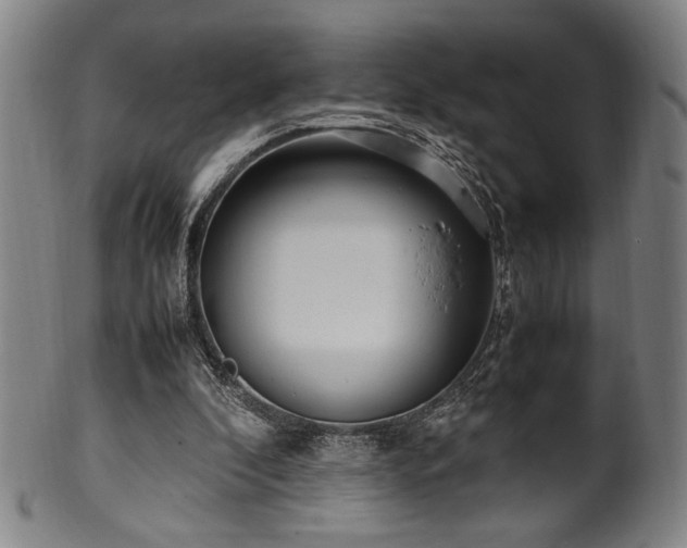 X0000100350296200806061120