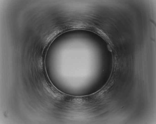X0000100350298200806061120