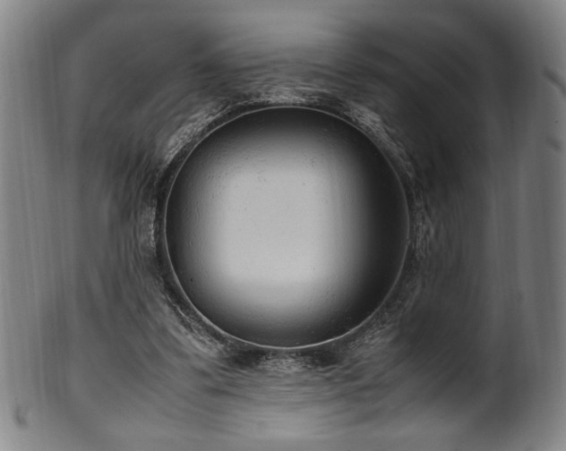 X0000100350299200806061120