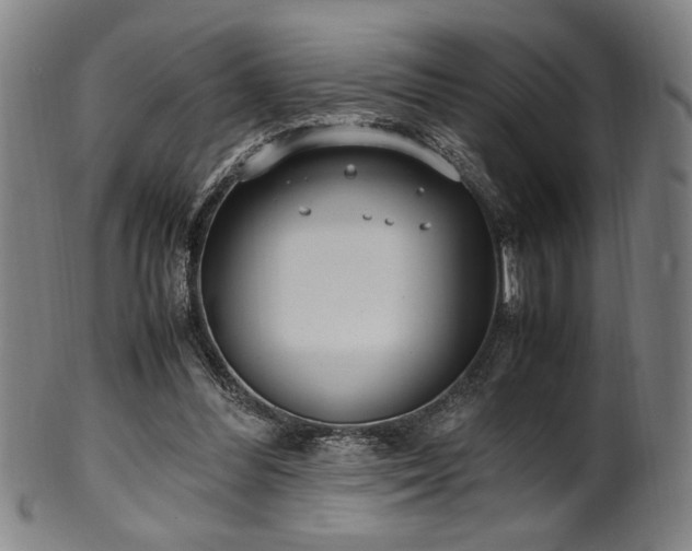 X0000100350300200806061120