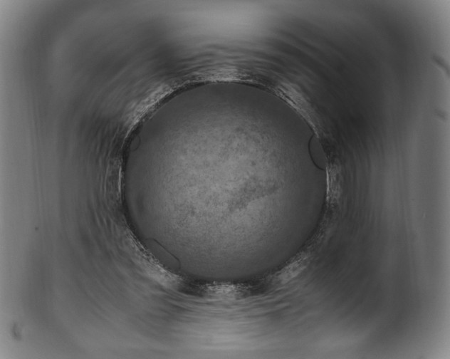 X0000100350301200806061120