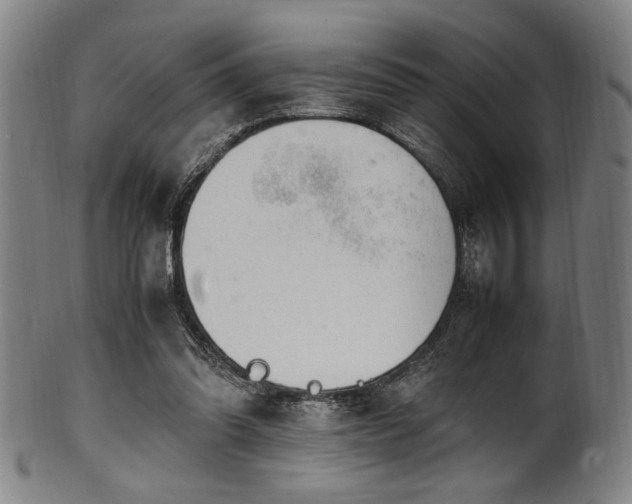 X0000100350302200806061120