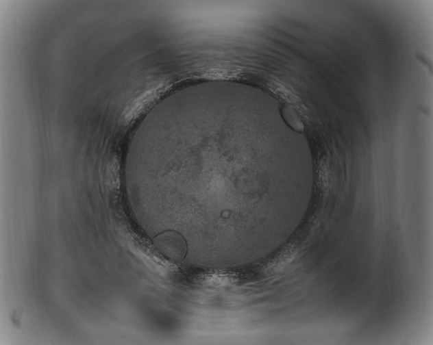 X0000100350303200806061120