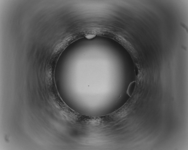 X0000100350306200806061120