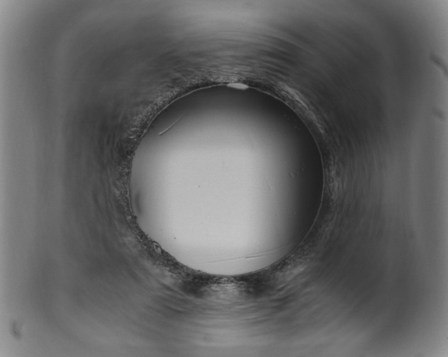 X0000100350307200806061120