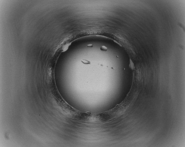 X0000100350308200806061120