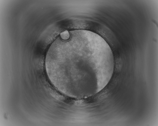 X0000100350309200806061120