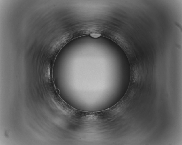 X0000100350310200806061120
