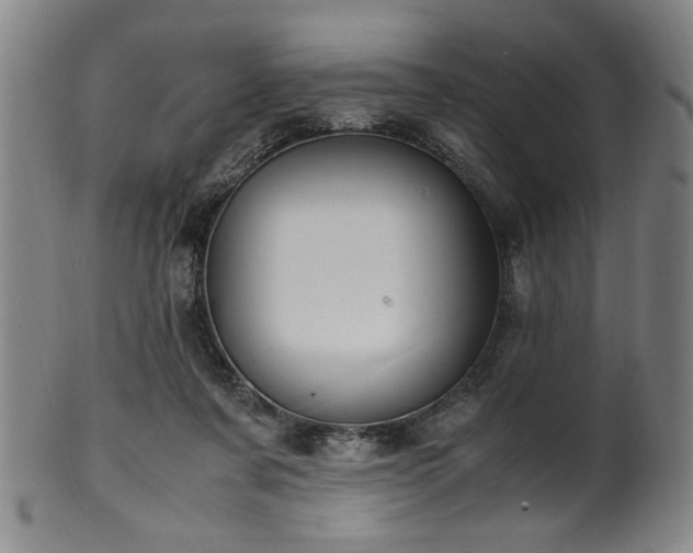 X0000100350311200806061120