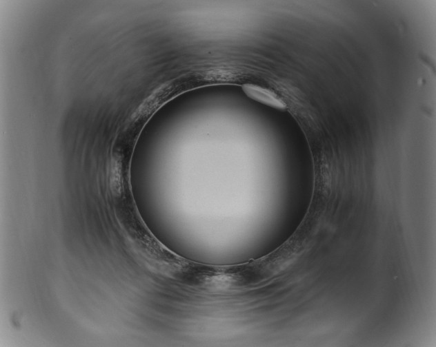 X0000100350312200806061120