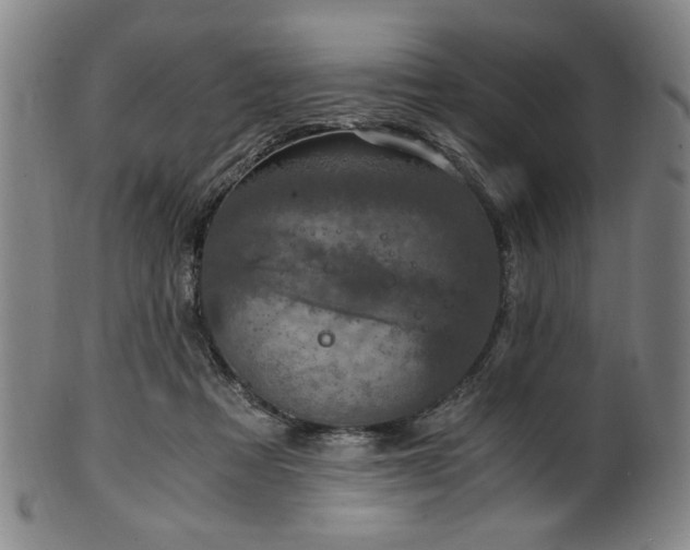 X0000100350313200806061120